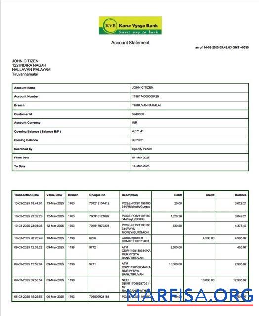 Blank India Karur Vysya bank account statement word template